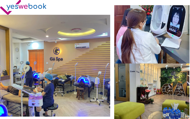 Spa trị mụn uy tín Gà Spa Hồ Chí Minh